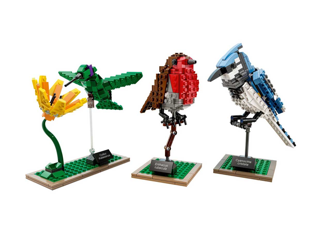 Lego Ideas Birds 21301