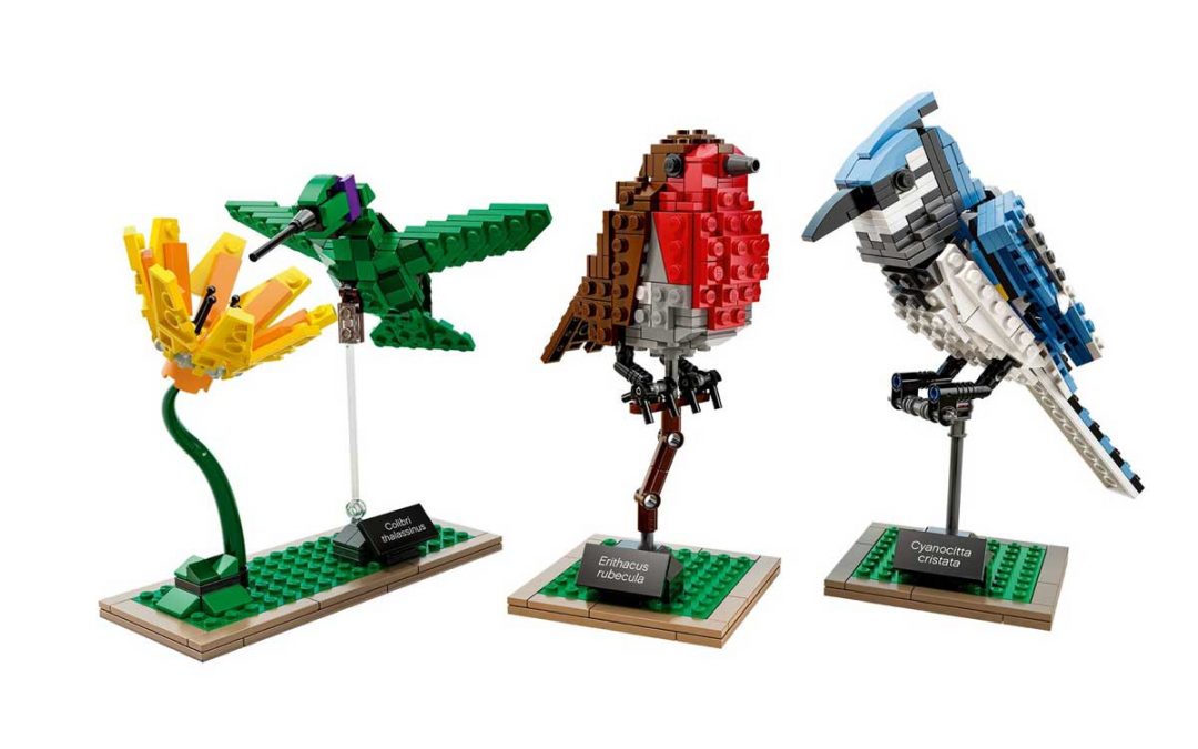 LEGO Ideas: Birds – 21301
